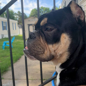 Meet your Posher, Anya